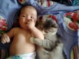 Sevimli kedi, komik ve sevimli kediler ve bebekler koleksiyonundan bebek seviyor