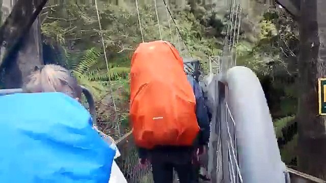 4 Franais survivrent leffondrement dun pont en Nouvelle-Zlande