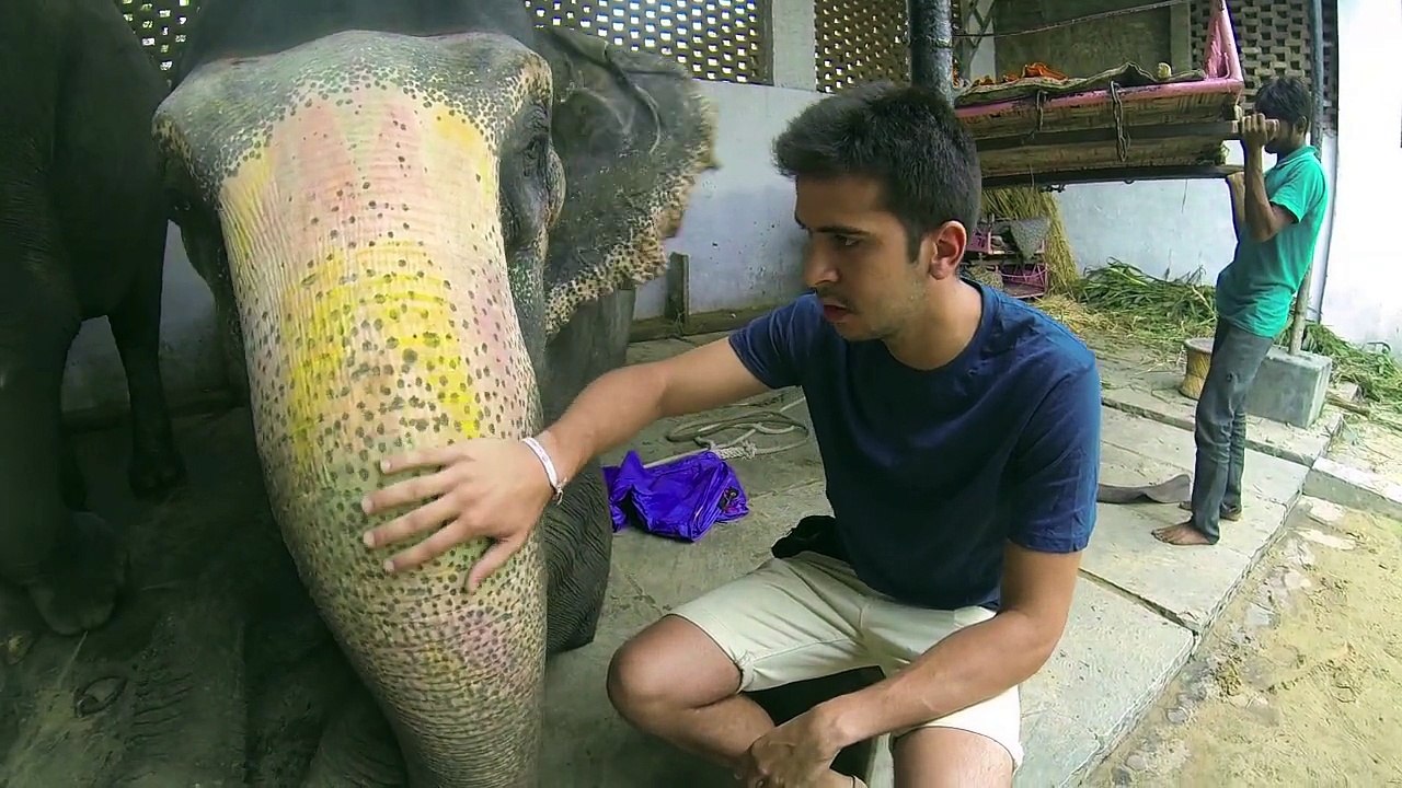 INDIA 2015