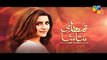 Tumhari Natasha Episode 13 Promo HUM TV Drama 09 Oct 2015 - Video Dailymotion