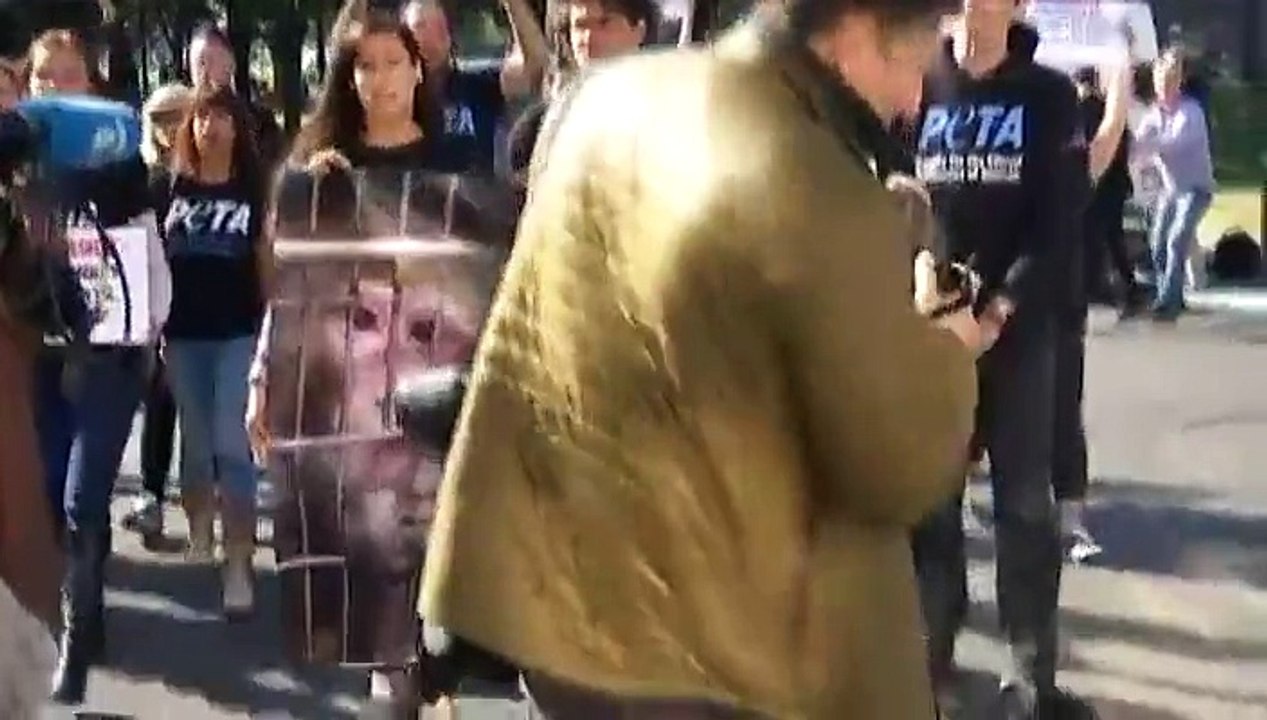 Manifestation devant Air France contre le transport de singes pour la recherche médicale