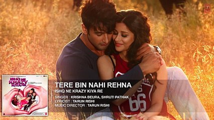 Tere Bin Nahi Rehna Full AUDIO Song