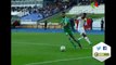 Algérie vs Guinée (1-2) | Match amical