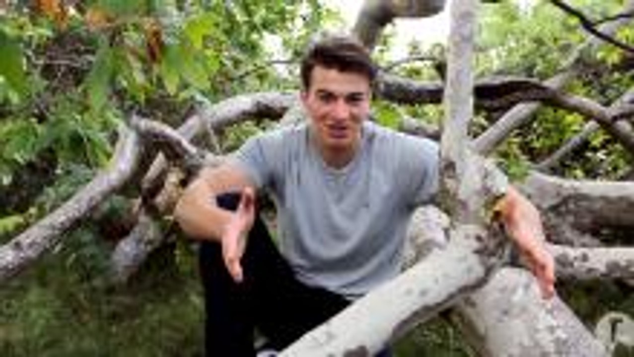 Determination: Reaching Goals