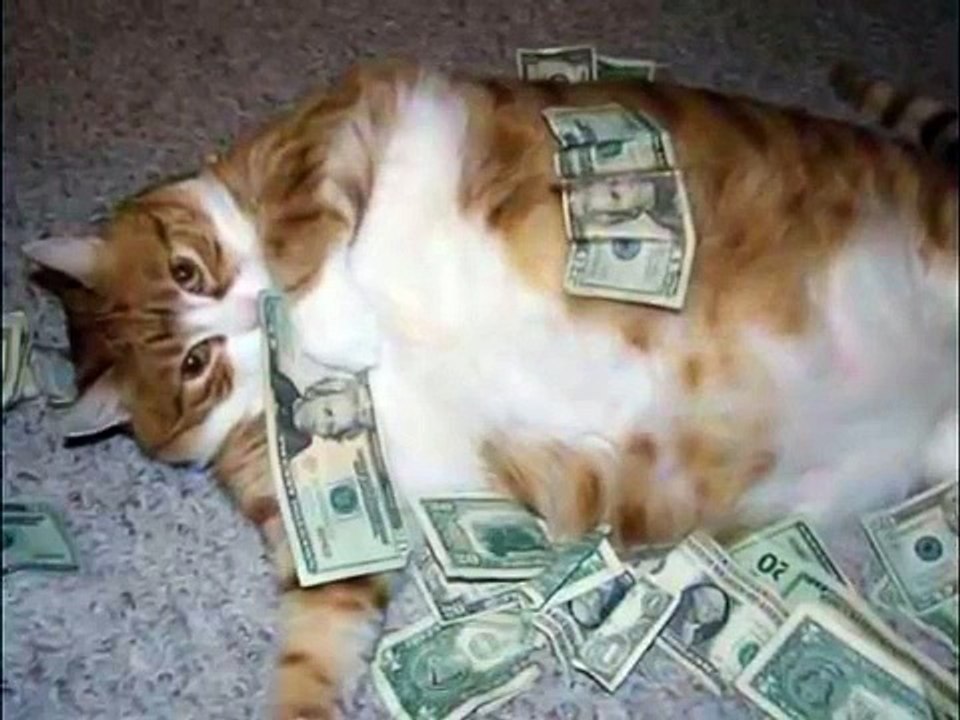 Theological Anthropology