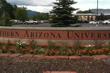 Un muerto y tres heridos tras tiroteo en la Universidad de Arizona en Estados Unidos