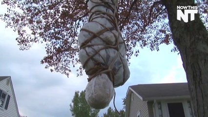 Local House Terrorizing Kids With Creepily Realistic Halloween Decorations