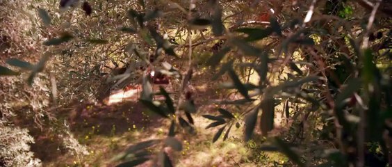 Молодой Мессия - Русский Трейлер (2016)