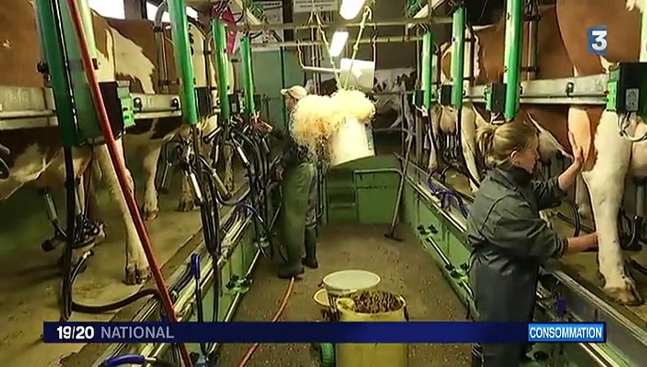 Les AOP, une arme efficace pour les producteurs laitiers