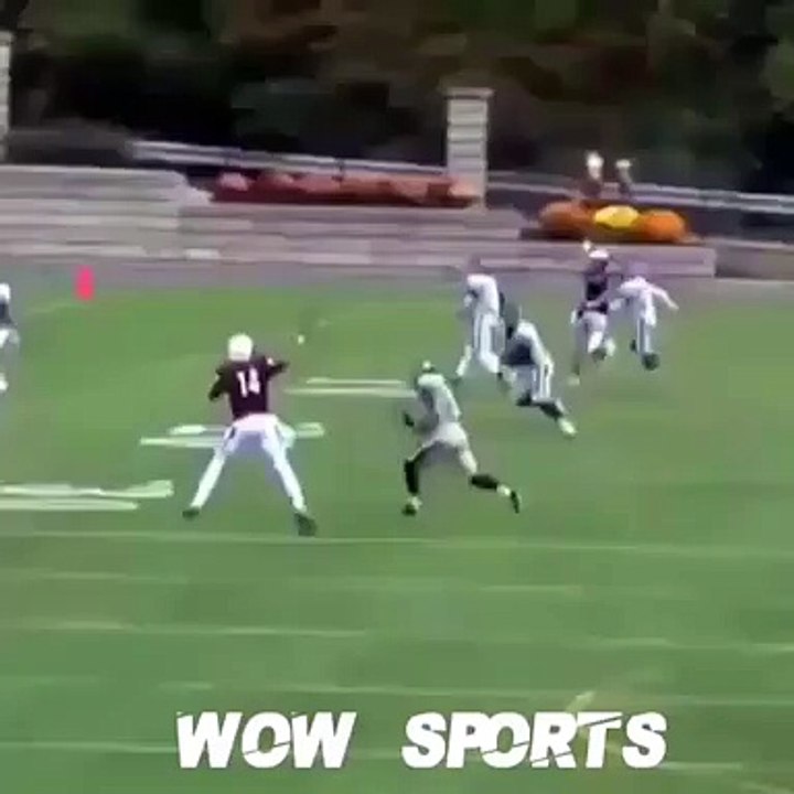 Incredible Touch Down Catch