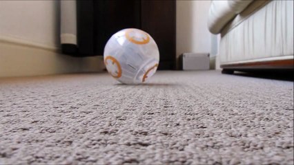 BB-8 Droid Hamster Ball - Star Wars The Force Awakens BB8