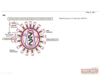 Microbiology Virology Part 4