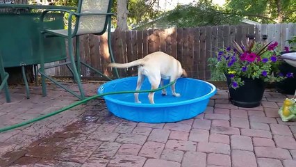 Maddie trying to fill up her pool