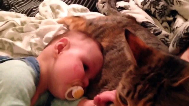 Кошка вместо няни!