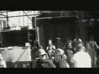 Sublime-Scarlet Begonias