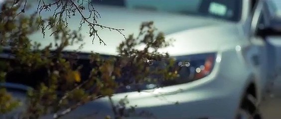 Alrima - Sentiments (Clip Officiel)