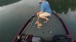 Catching Cats While Catfishing