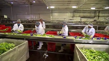 A Dona Capitulo 40 dia 09-10-2015 - Parte 1