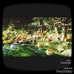 Opening to Garfield the Movie (2003) VHS