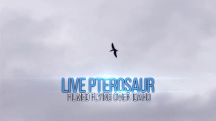 Live Dinosaur Caught on Tape 2015!