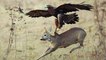 Top 3 Best Eagle Attacks (OWL, DEER & WOLF)
