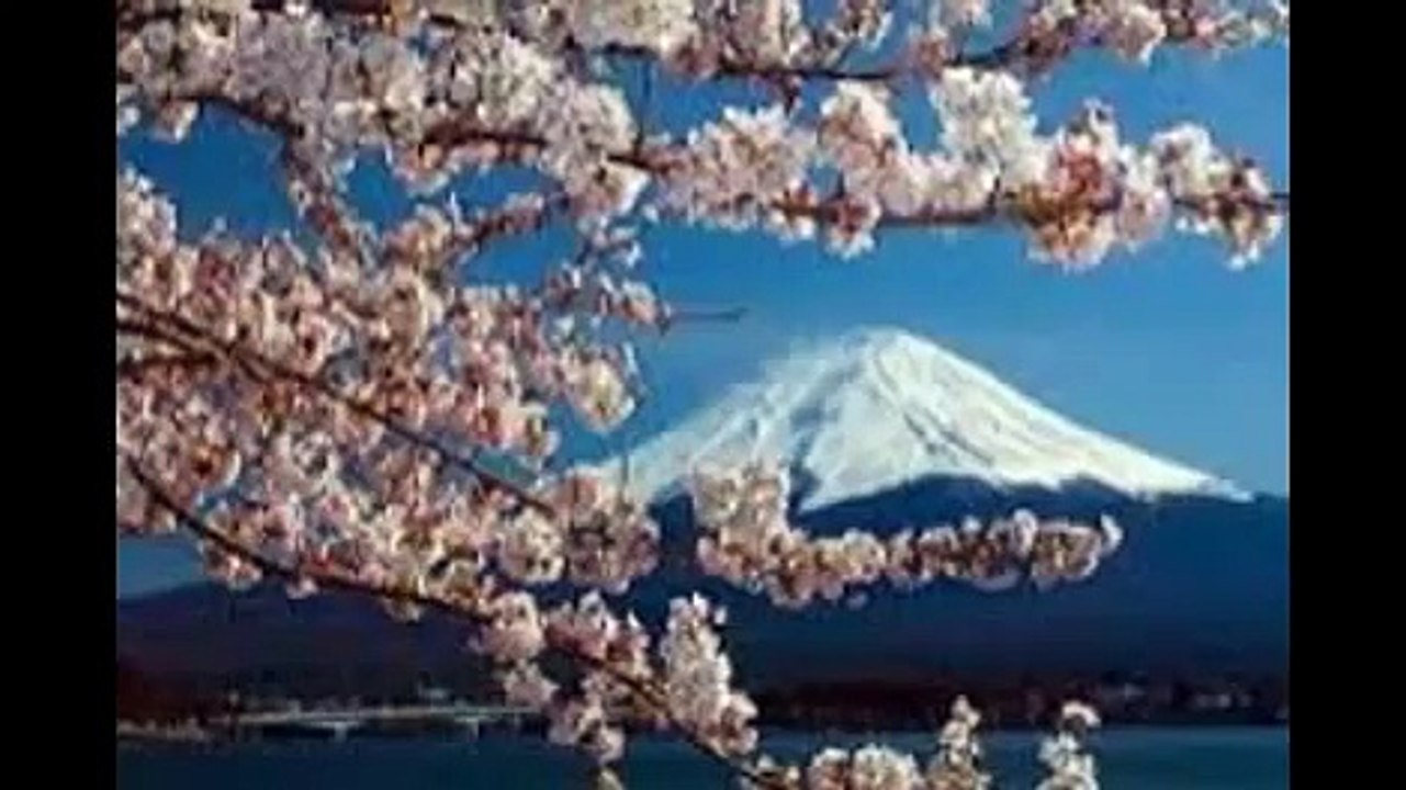 airport transfer Taxi from Airport to Seychelles hotels Services holiday