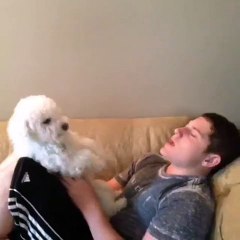 Best and funniest dog ever...