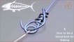 How To Tie Fishing Knots