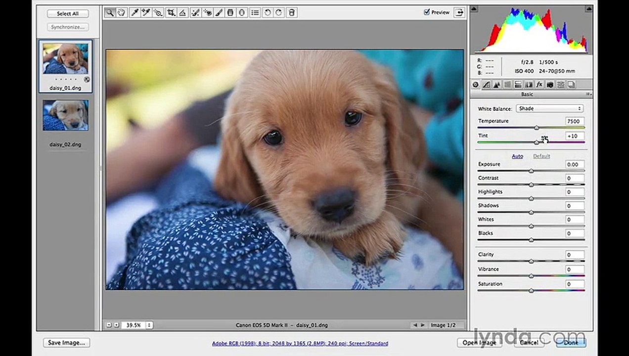 Fix color in photos _ Learn Photoshop CC _ Adobe TV