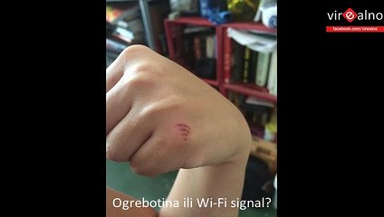 TOP 10: Stvari koje izgledaju kao druge stvari