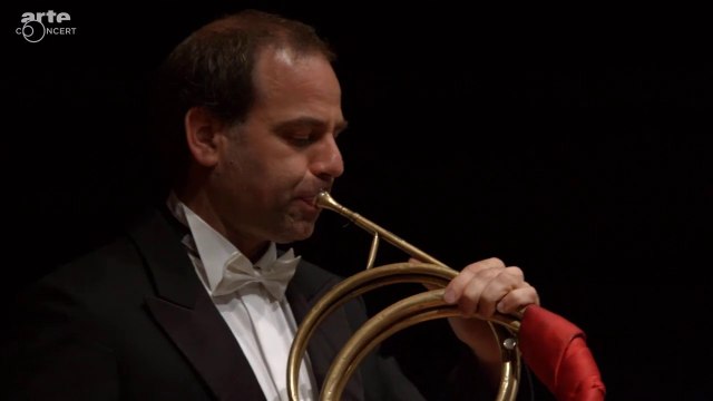 Giulio Cesare, Haendel - « Va tacito e nascosto » (2015, S. Connolly)