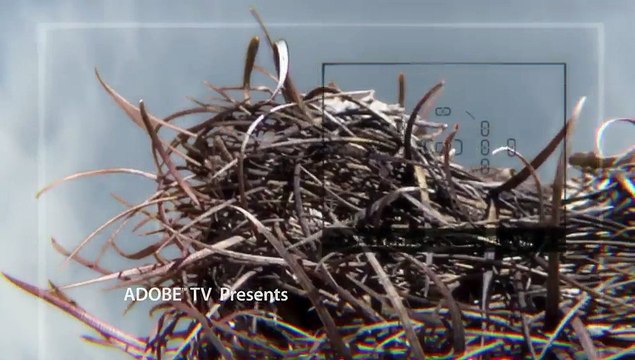 Focus based image selections _ Learn Photoshop CC _ Adobe TV