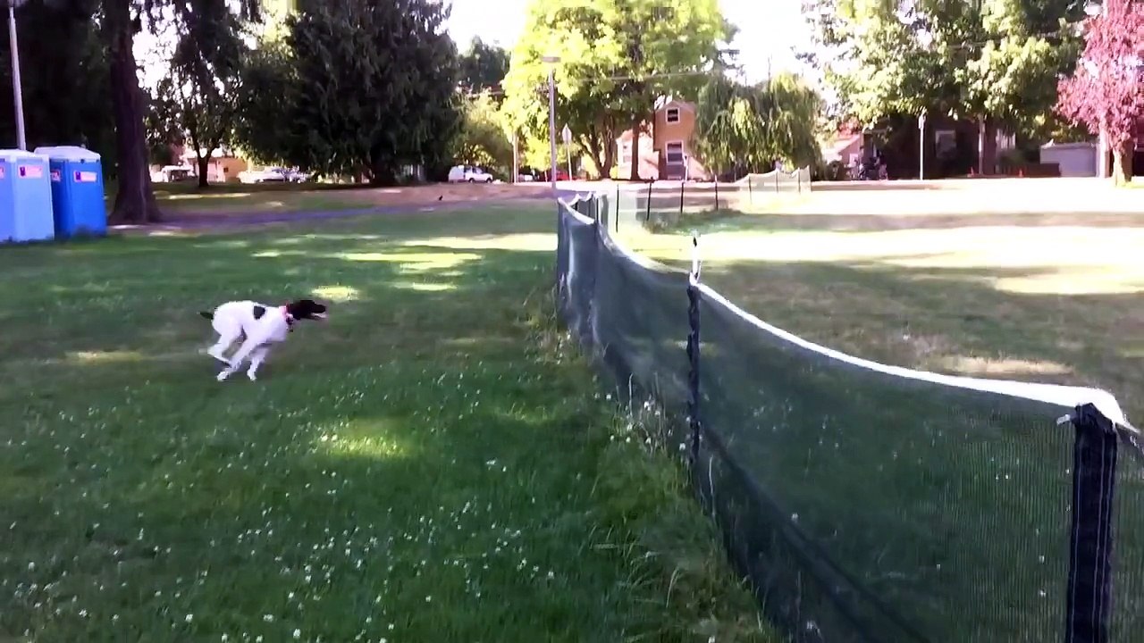 First Front Flip
