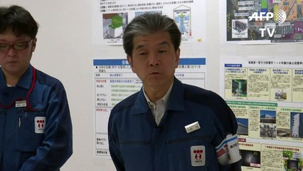 Fukushima sea wall nears completion