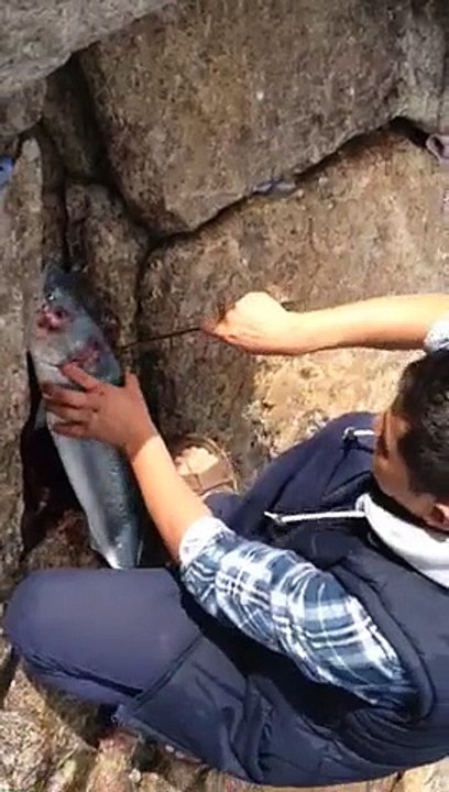 Australian Salmon Fishing At Ashwa Beach April 2015