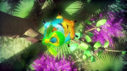 Larva 2013 NEW Ep 27 (Cocoon _ Nanta) [HD]