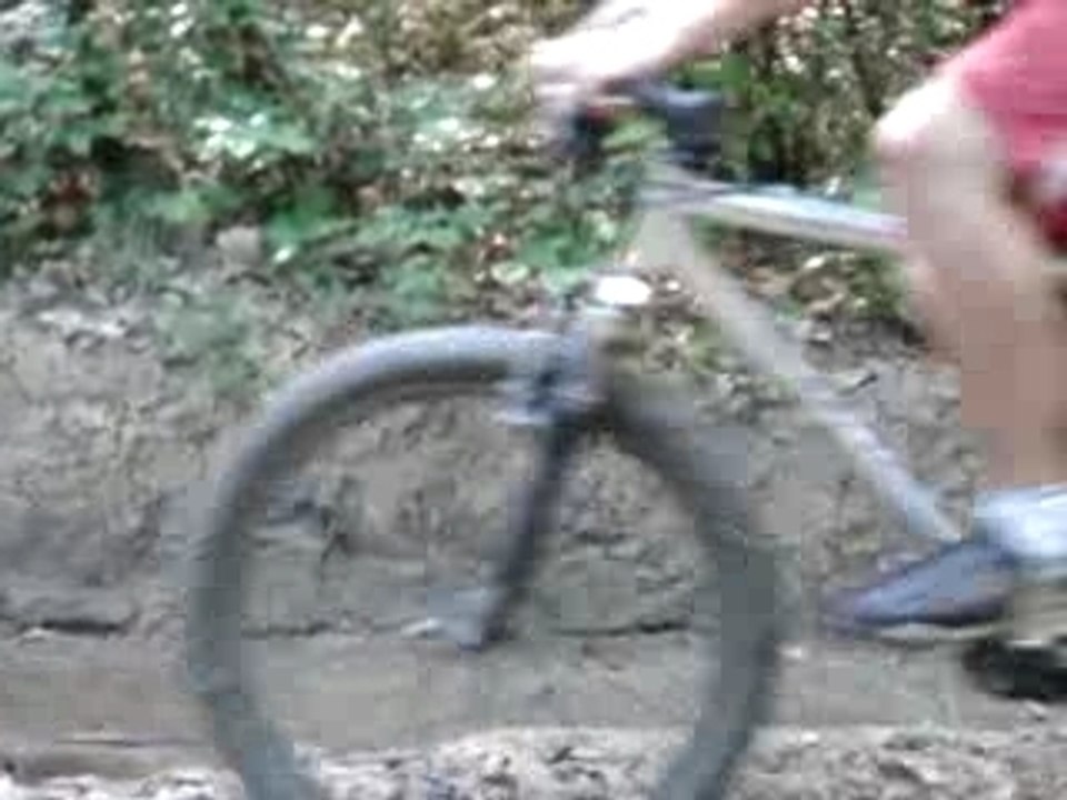 Délire dans la foret