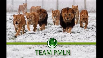 What does PMLN "Sher" stands for!!!