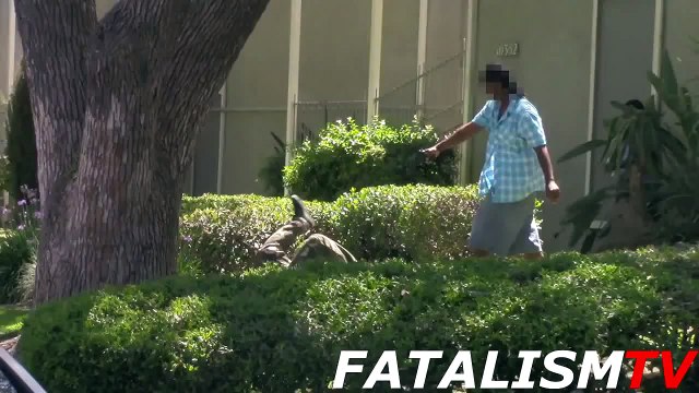 Sword Murderer in the Hood (PRANKS GONE WRONG) Pranks on People Pranks in the Hood Pranks