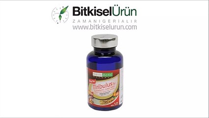 Tribulus + Epimedium + Çakşır Kökü Kapsülü