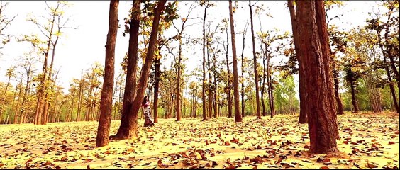 Amar raat pohalo_ Rabindra Sangeet _ Madhurima Sen