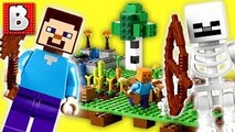 Lego Minecraft The Farm Set 21114 | Unboxing Building Time Lapse Review