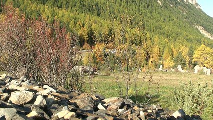 D!CI TV : Recherches du gypaète barbu à la longue vue au Val d'Escreins