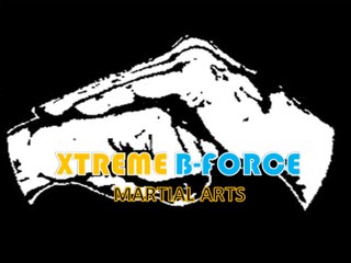 Efficient Pro Martial Arts Training in Wollongong