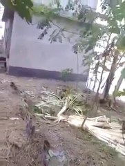 Okyanus Bir Evi Nasıl Yutar?