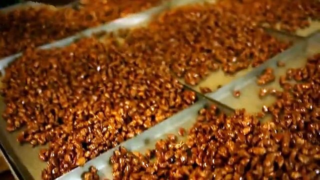 Torréfacteur et transformateur de fruits secs, noix nobles, cacahuètes et arachides