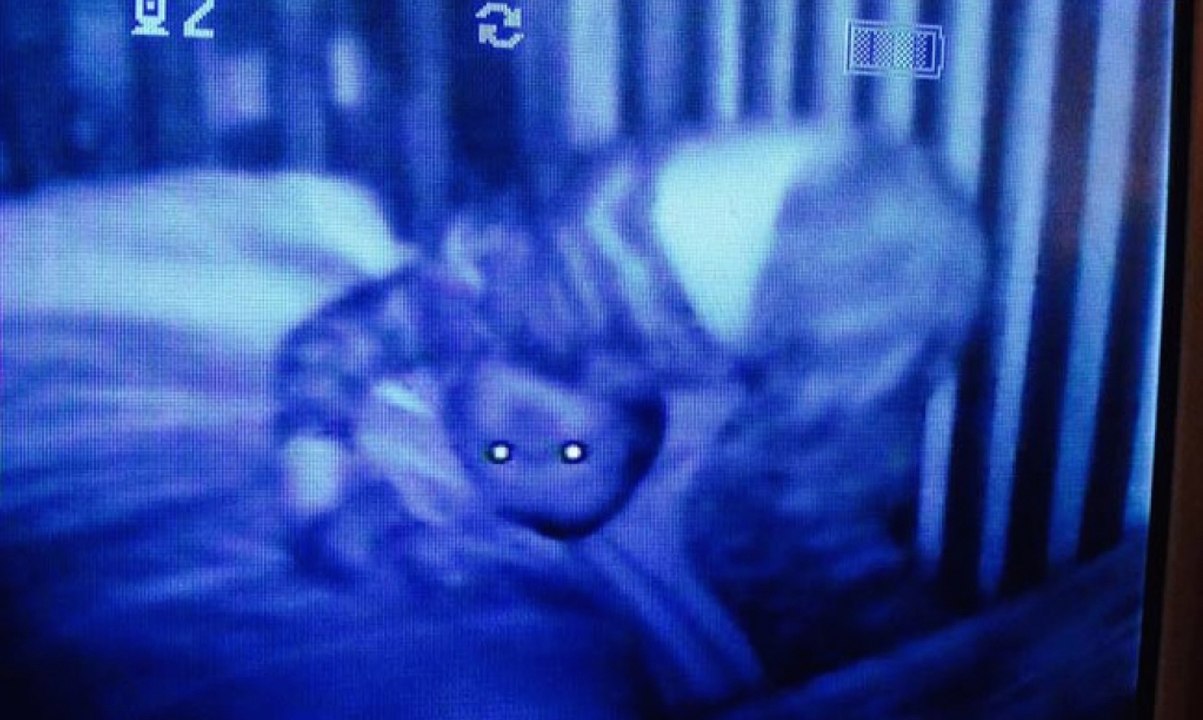 Actividad Paranormal Captada En Un Monitor De Bebés