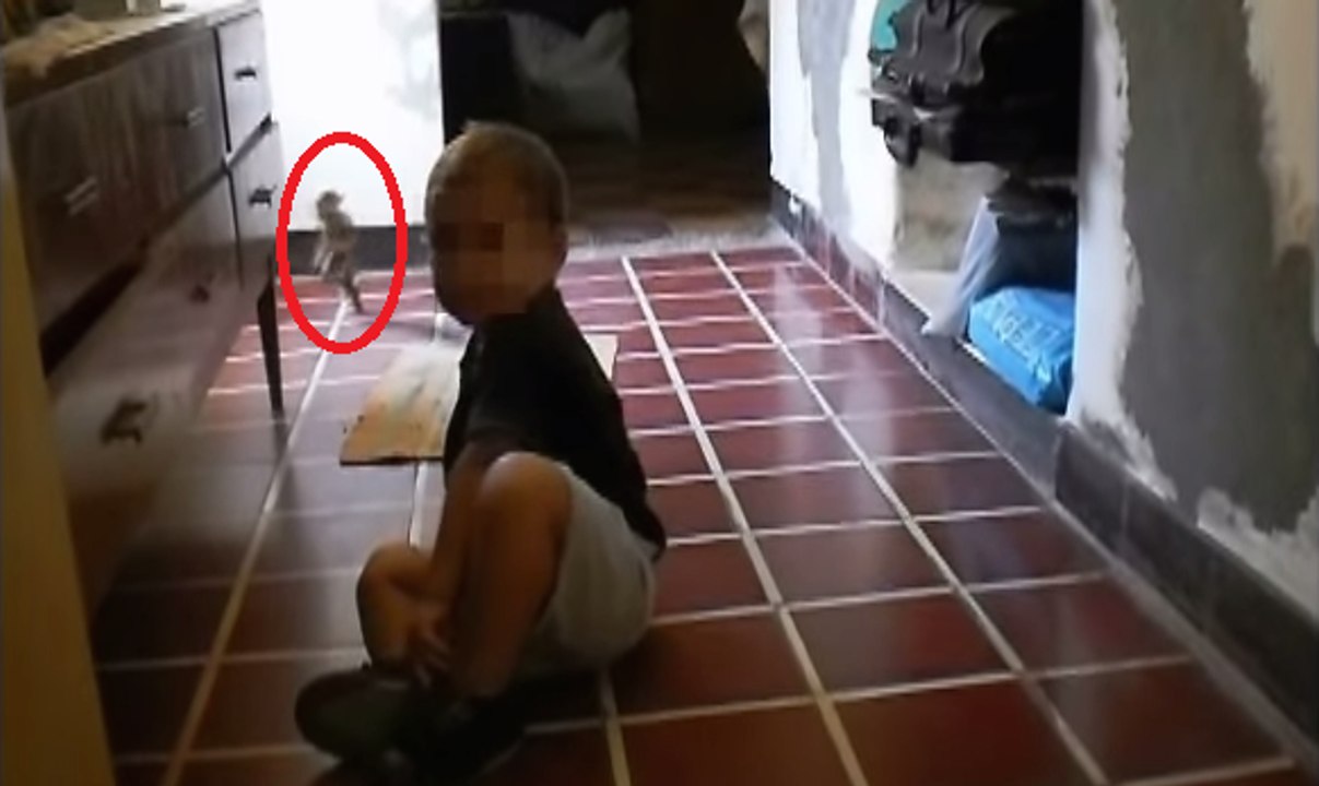 El Vídeo De Un "DUENDE" Sorprende Al Mundo