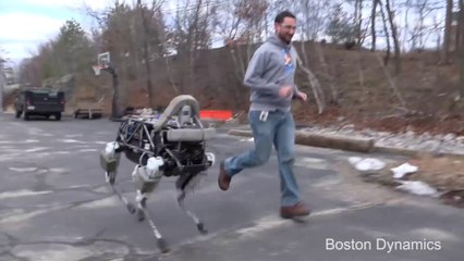 Robot köpek ile koşu yapmak
