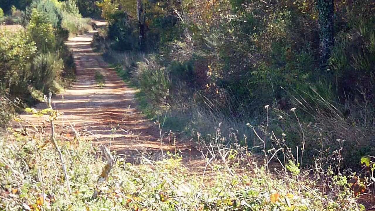 Pradayrol - Cardabelles 2015 - ES 3